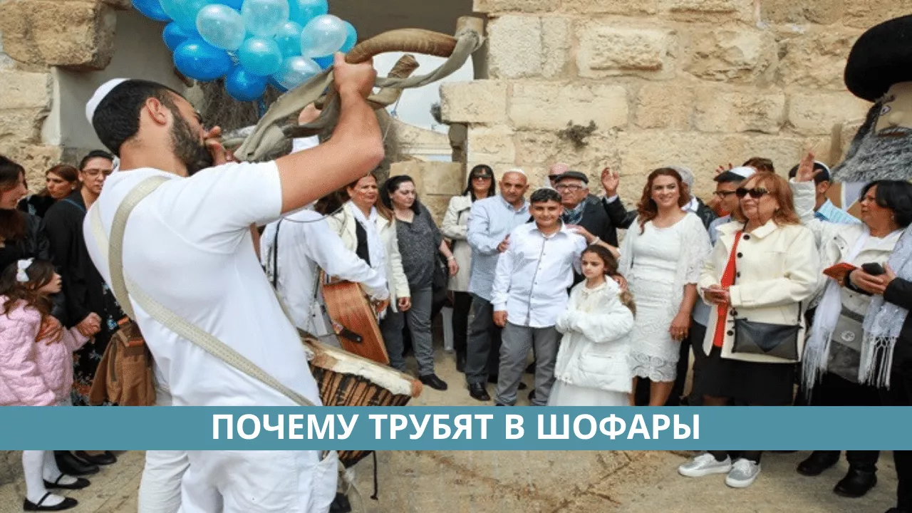 шофар для бар мицвы израиль